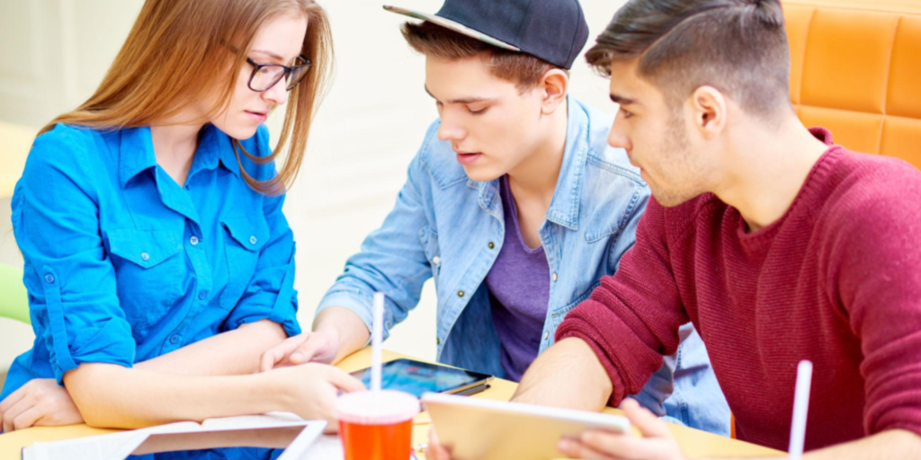 higher education systems