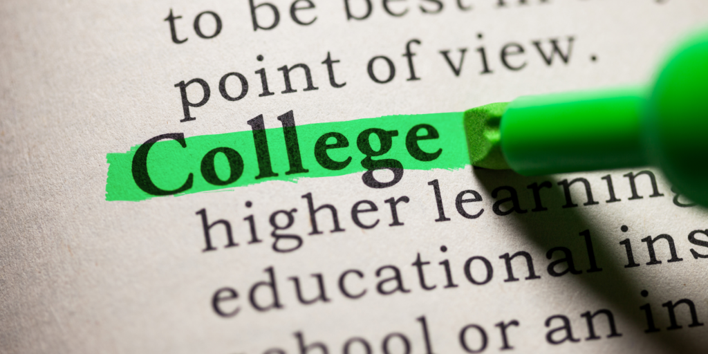 role of colleges in career development