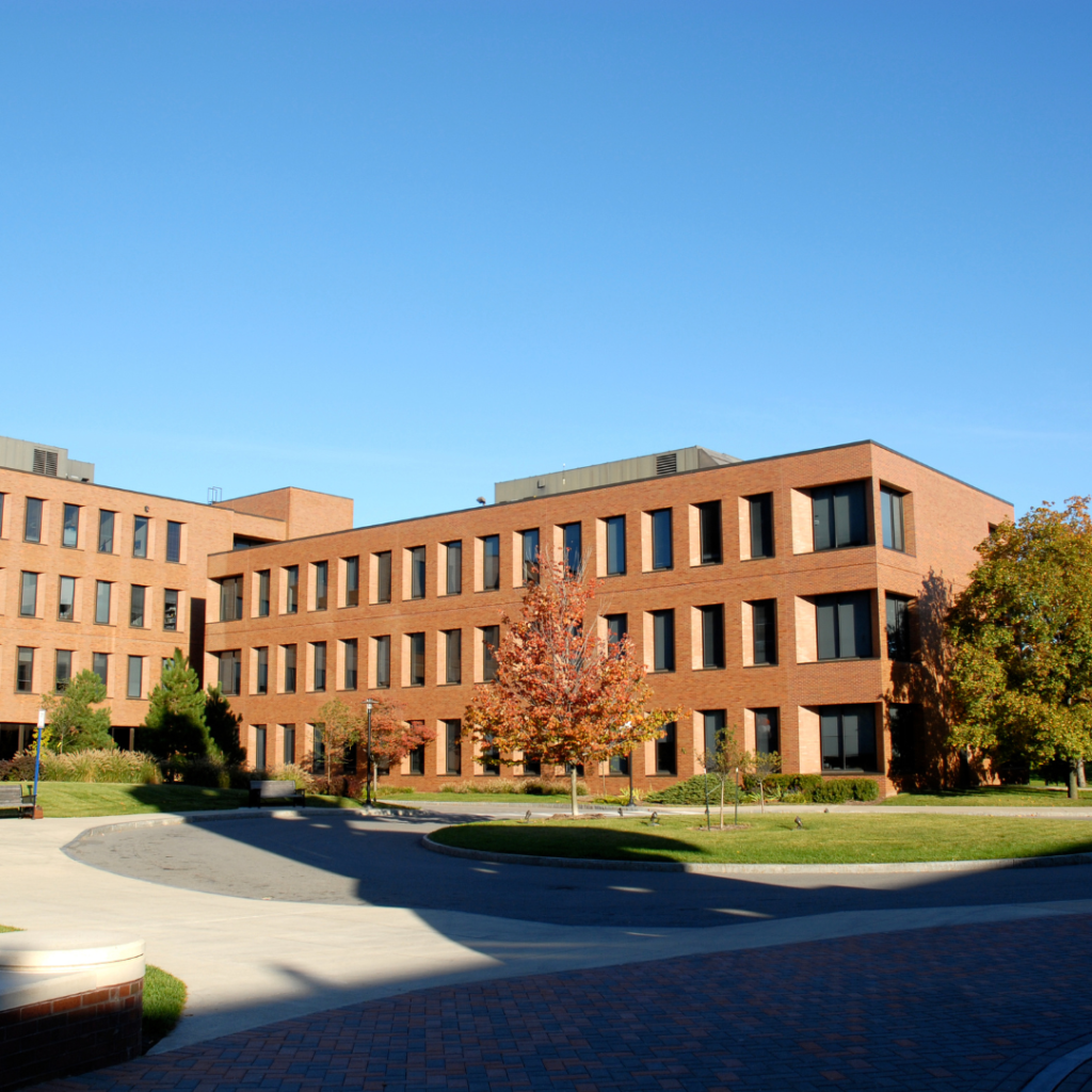role of colleges in career development