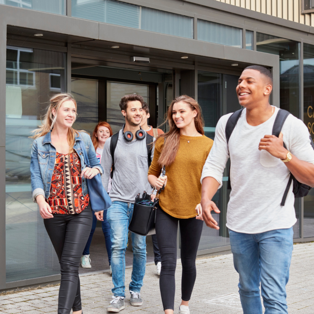 higher education systems