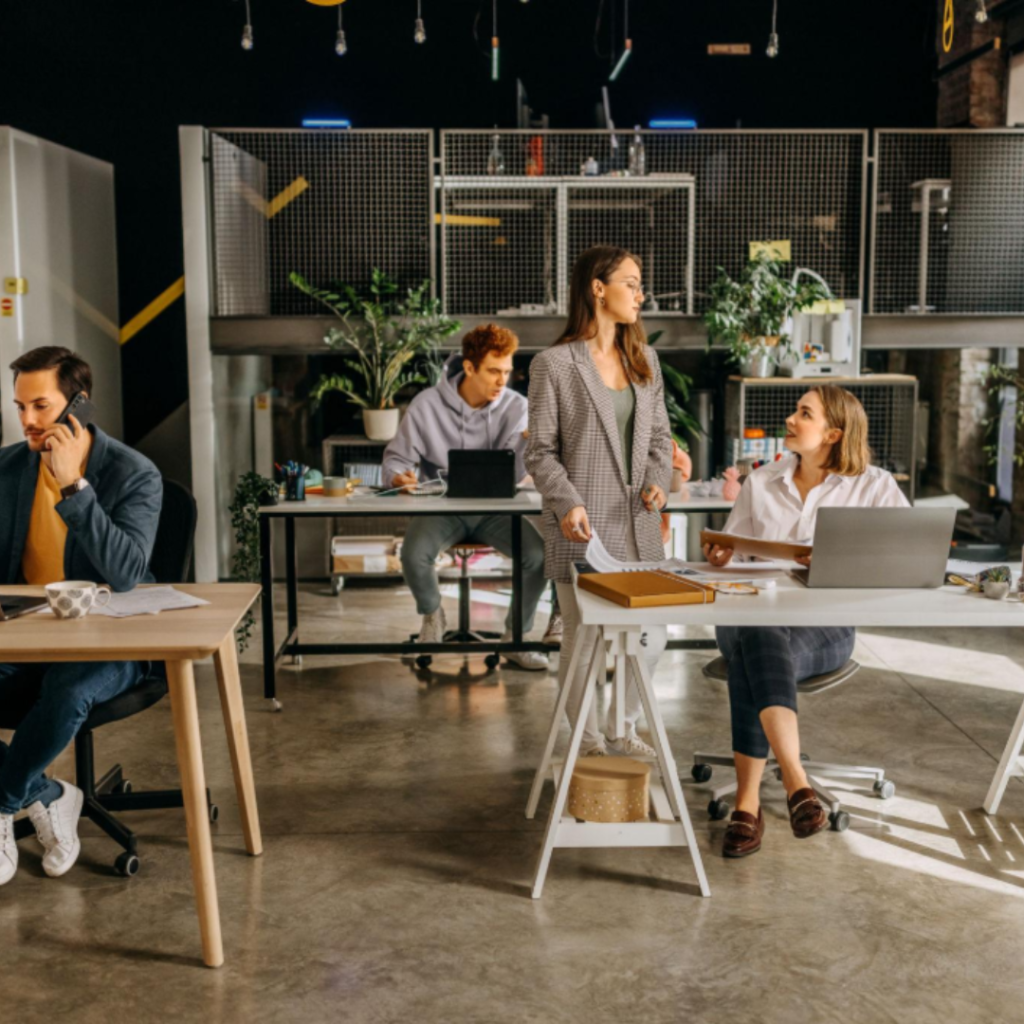 Placement Preparation for Small and Medium Enterprises (SMEs)