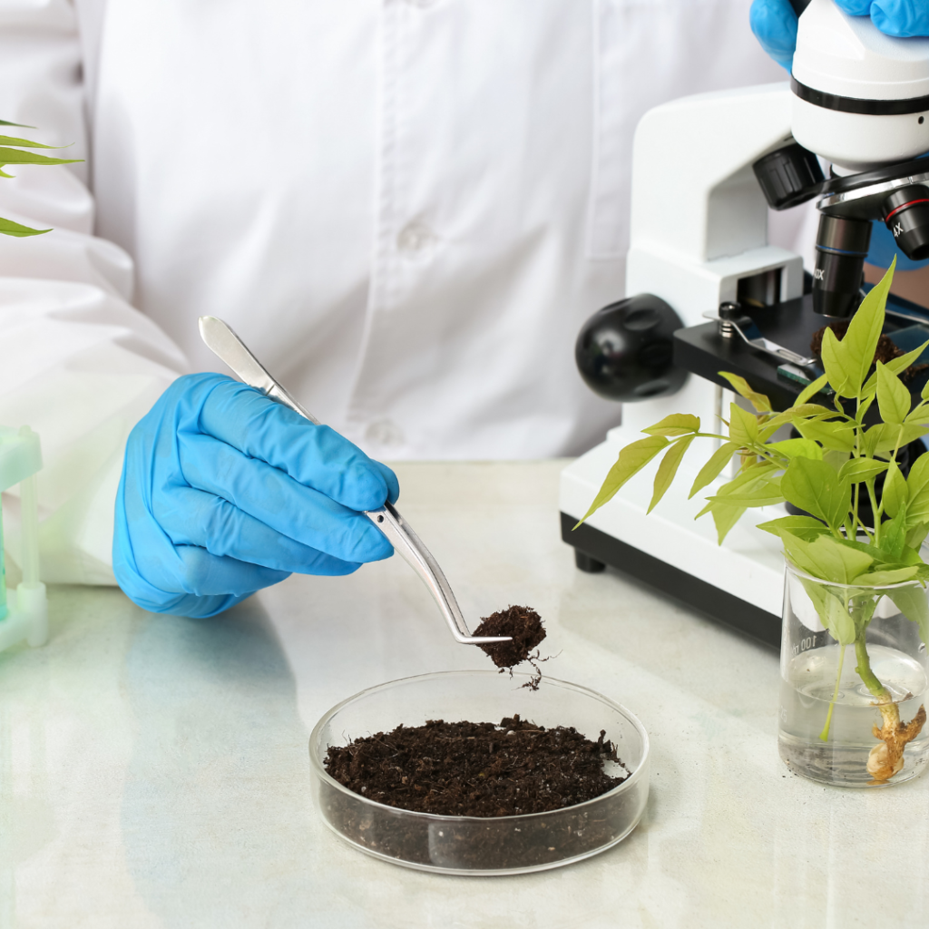 Soil Testing Laboratory Government Jobs